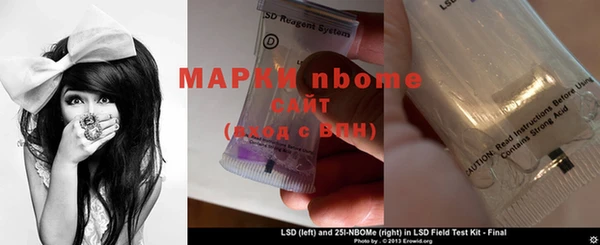 мет Алексин