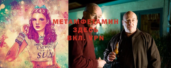 мет Алексин