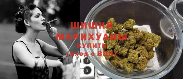 крисы Козловка