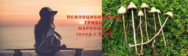 первитин Алексеевка